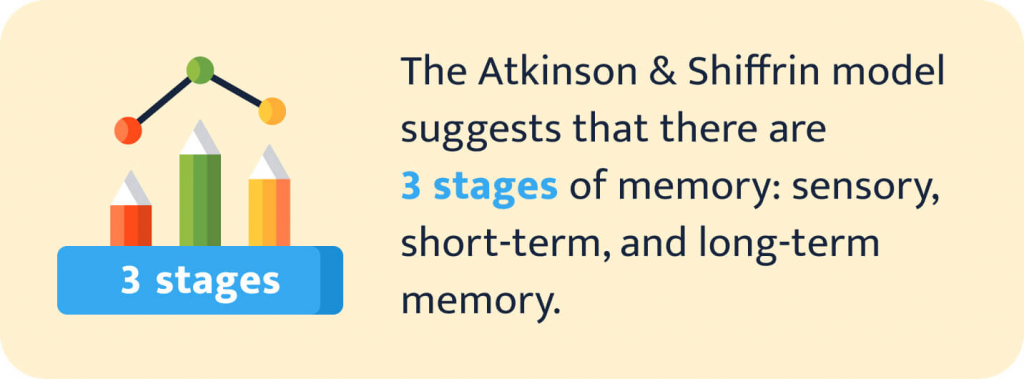 This image explains the Atkinson & Shiffrin model.