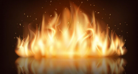 Barn Burning Study Guide