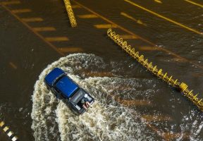 Essay on Disaster Management: 122 Topics + Writing Guide