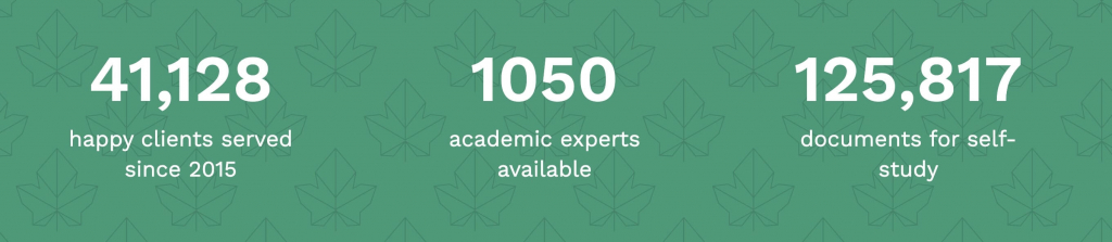 The picture illustrates some indicators of IvyPanda's success: the number of team members, the average response time of an expert, and the number of satisfied customers. 