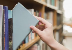 Parts of a Book Report + Writing Tips & Examples