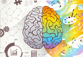 Left Brain vs. Right Brain: Characteristics  Chart [INFOGRAPHIC]