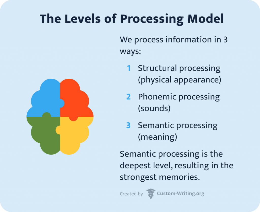 This image shows the levels of processing model. 