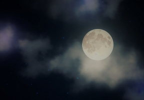 Symbolism in Night by Elie Wiesel