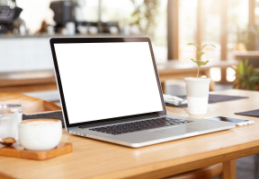 OvernightEssay Review—Academic Help Service With 15+ Years of Experience