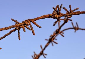 Human Trafficking Essay Topics, Outline, & Example [2025]