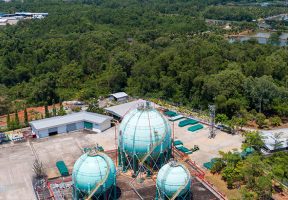 Environment vs. Development Essay: Tips & Topics [2025]