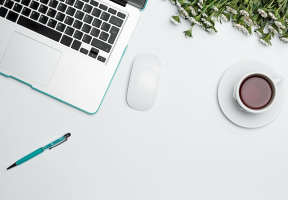 StudyCorgi Review—The Most Comprehensive Free Essay Samples Database