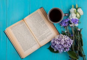 Book Review Format, Outline, & Example