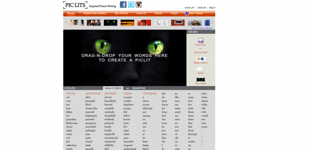 Pic Lits website screenshot.