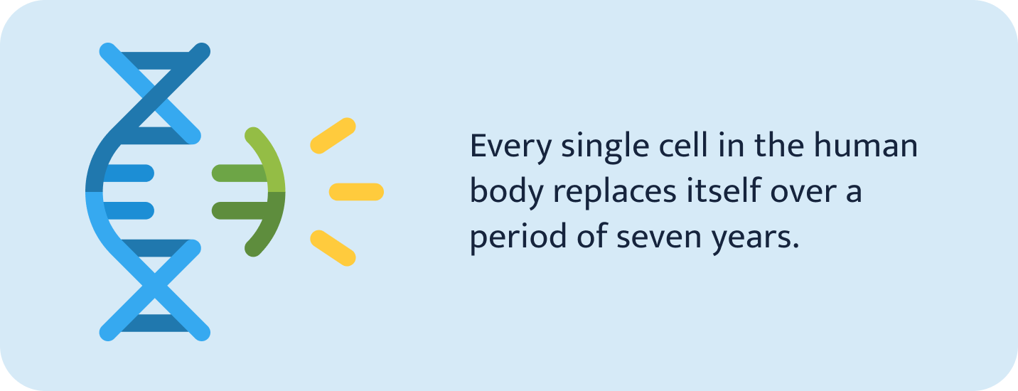 Cell in the human body.
