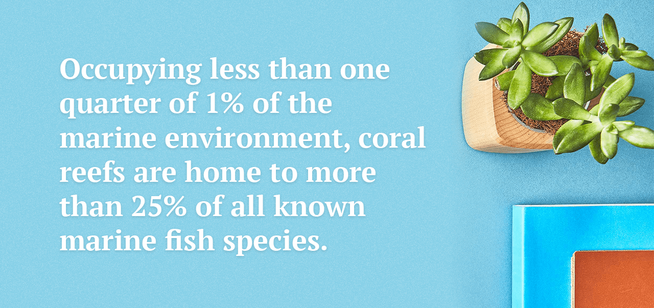 Marine environment fact.