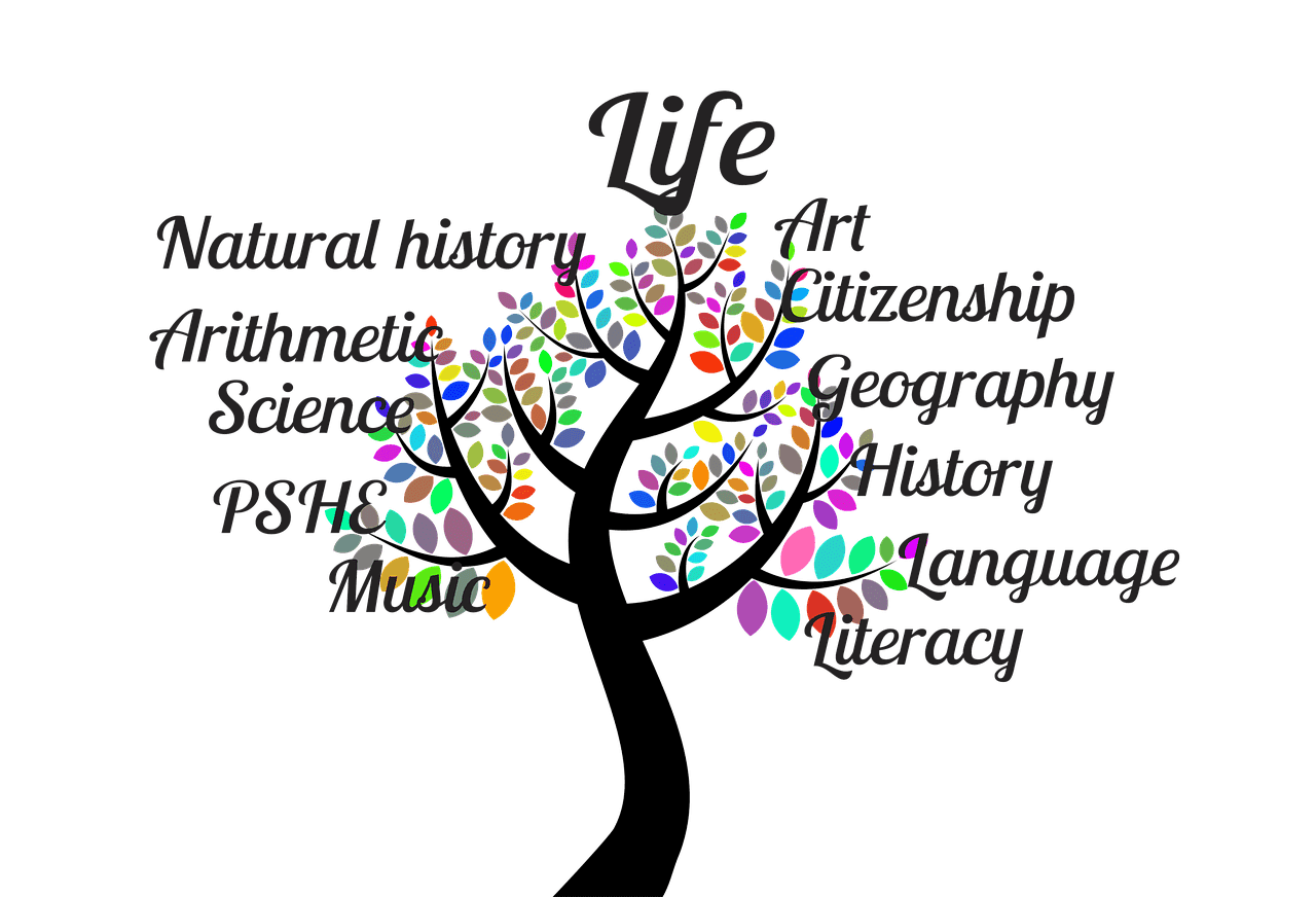 A tree of life and school subjects.