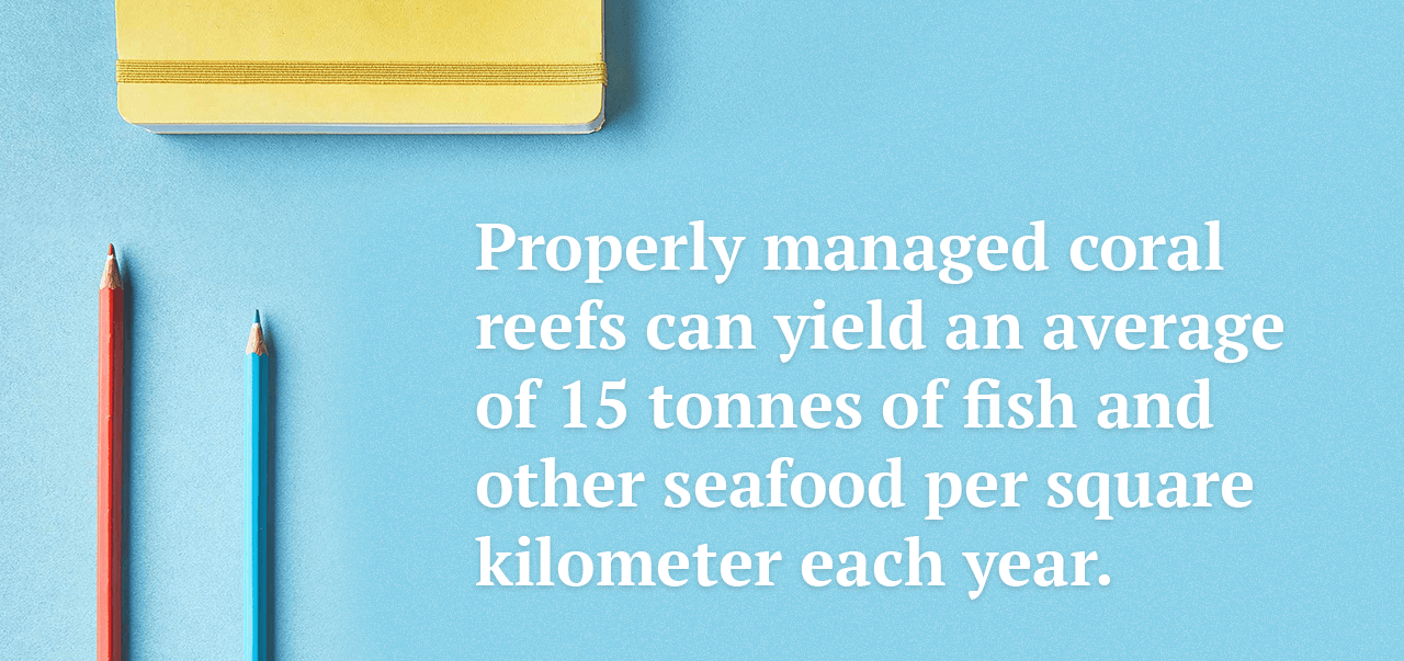 Seafood per square kilometer statistics.