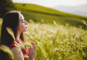 How to Achieve World Peace Essay: Topics & Writing Guide