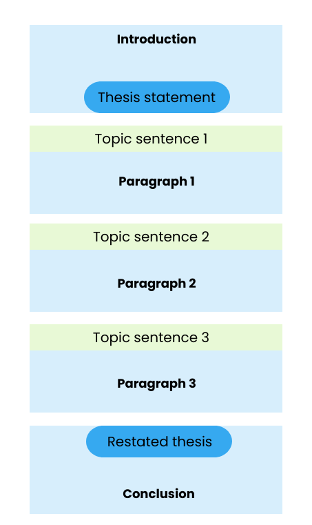 Standard essay structure